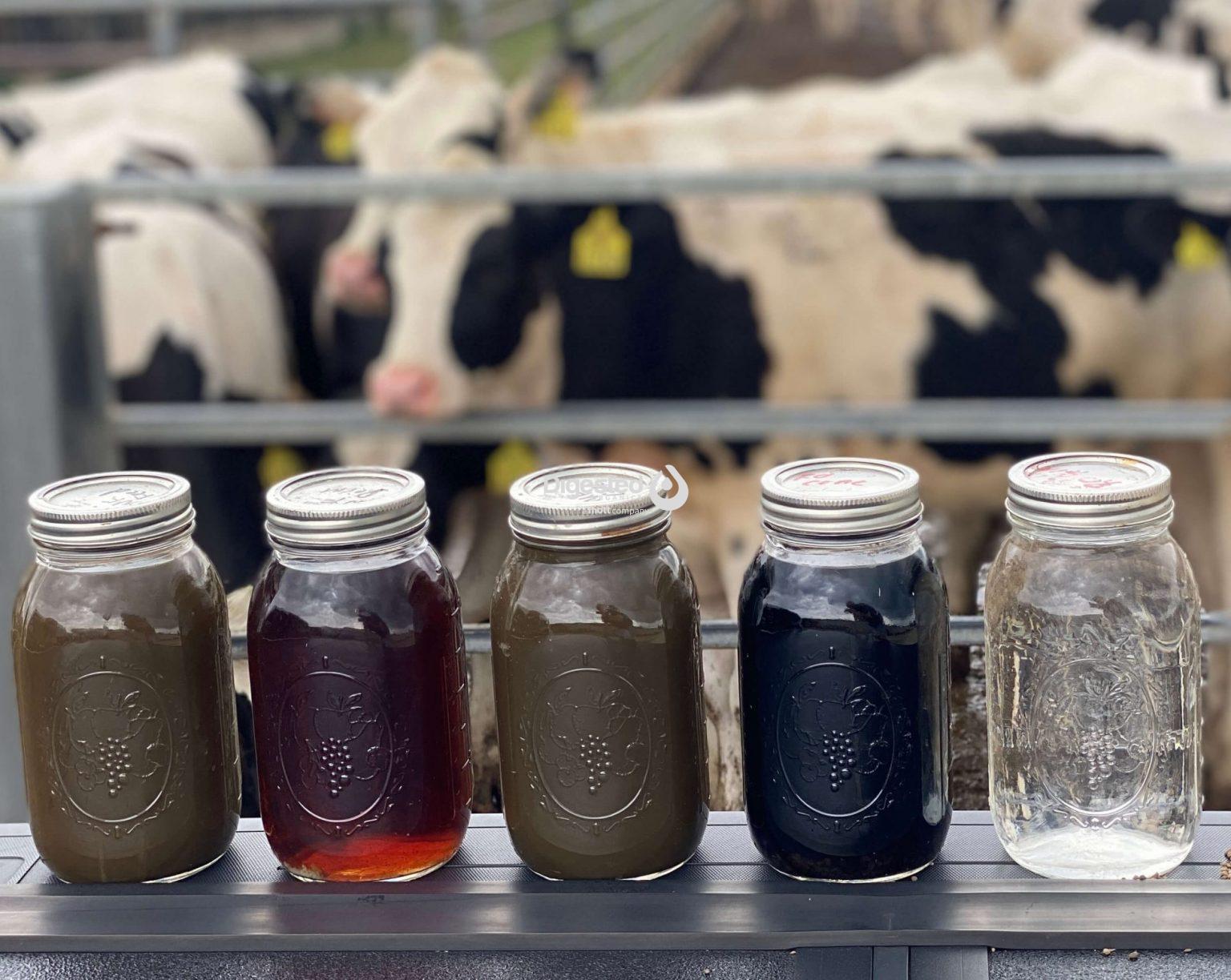 Digested Organics & Bettencourt Project Dairy 6, Wendell Idaho